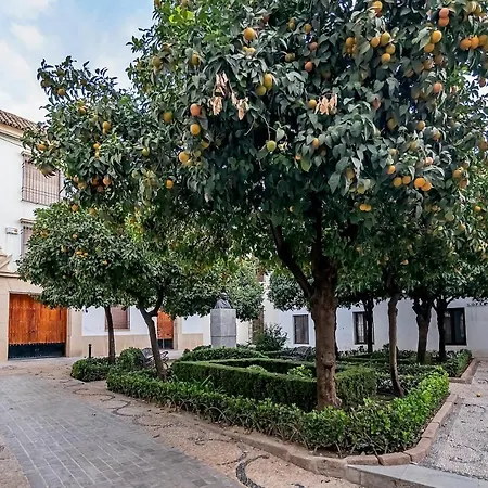 Juderia Cordoba